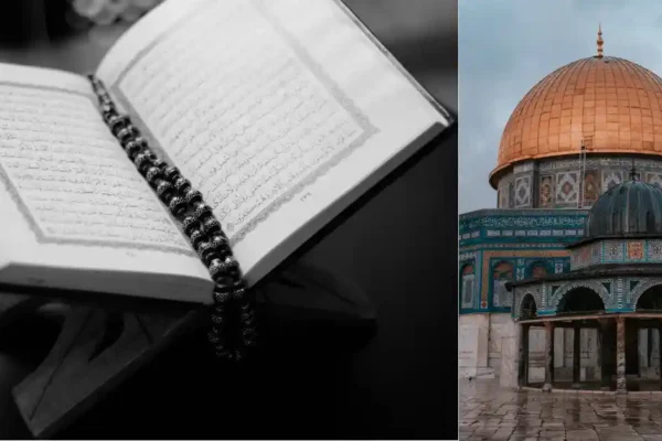 The importance and procedure of the Islamic consultative system